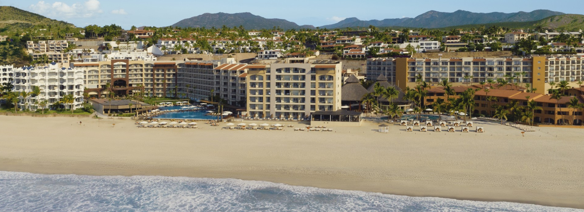 WHALE WATCHING SEASON IN LOS CABOS: WHEN TO GO & WHERE TO SEE THEM Krystal Hotels & Resorts